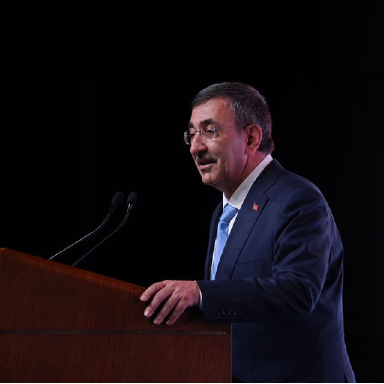 Cumhurbaşkanlığı'na vekalet edecek