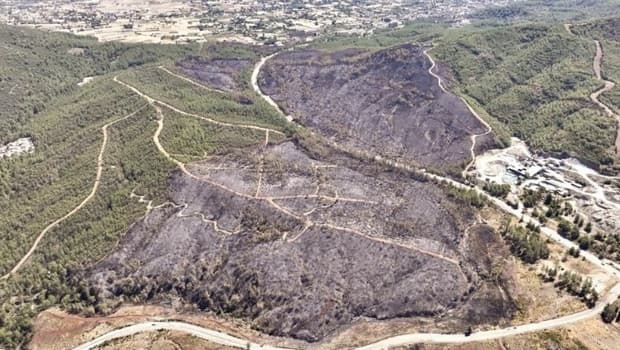 Balıkesir’de 2 kişi tutuklandı… Ormanı kaynakla yakmışlar